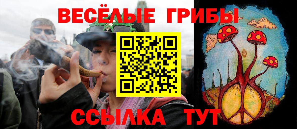 Псилоцибиновые грибы мицелий  Псилоцибиновые грибы GOLDEN TEACHER  Михайловка  Вход с VPN 